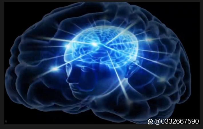 暑期档十大必看大片盘点